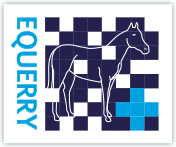 Equerry