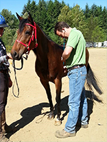 Colin Scruton with a Horse